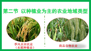 以种植业为主的农业地域类型(公开课)ppt课件.pptx