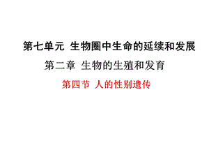 人教版八年级下册生物第二章第四节人的性别遗传ppt课件.ppt