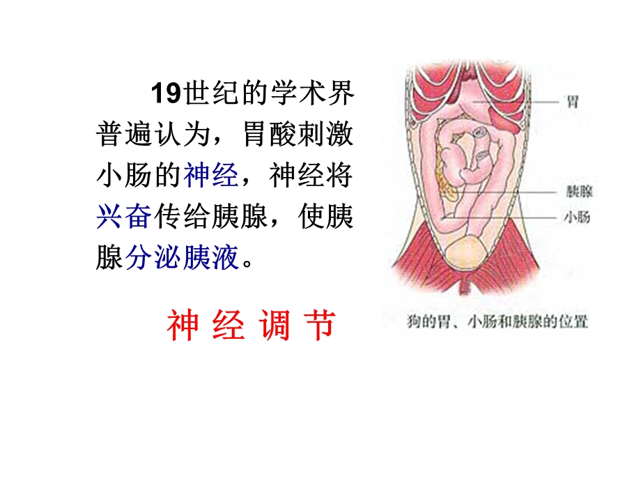 优质课通过激素的调节ppt课件.ppt_第3页