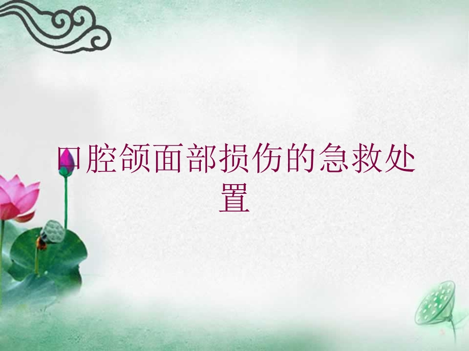 口腔颌面部损伤的急救处置培训课件.ppt_第1页