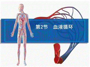 北师大版生物7年级下册第9章第2节《血液循环》市公开课一等奖课件.ppt