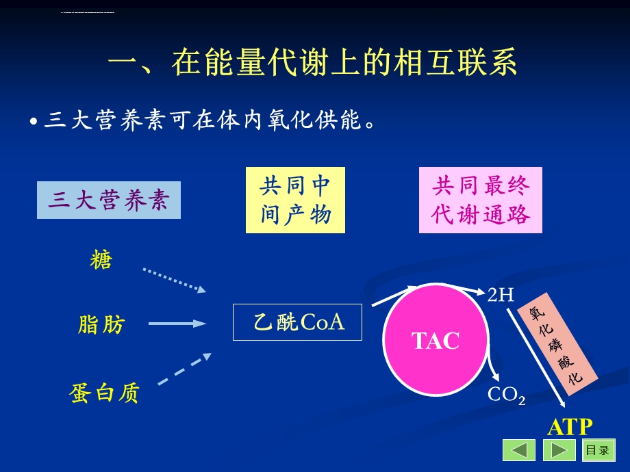 体内三大营养物质的代谢联系ppt课件.ppt_第2页