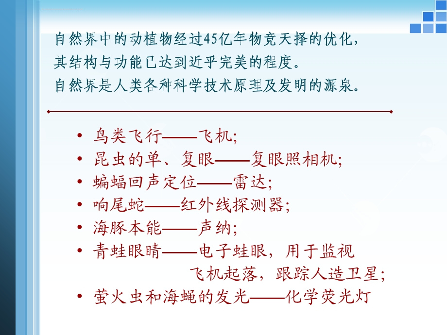 仿生结构及其功能材料ppt课件.ppt_第3页