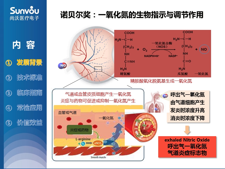 呼出气一氧化氮临床指南和应用课件.ppt_第2页