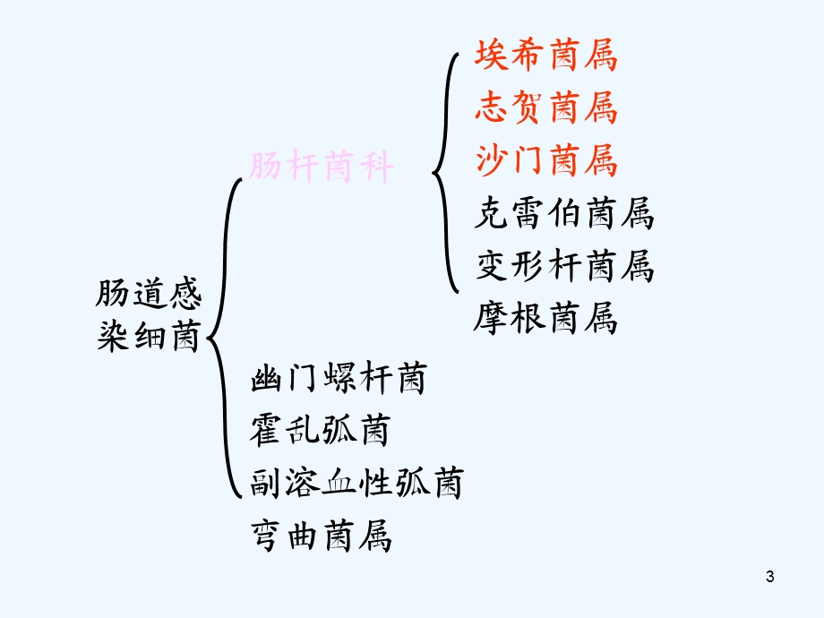 十五章肠道感染细菌课件.ppt_第3页