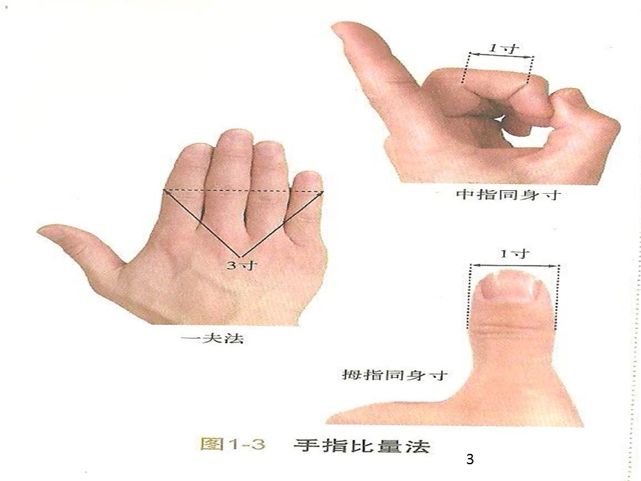 十二时辰与十二经脉养生医学课件.ppt_第3页