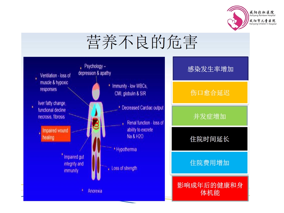 儿童营养评估及干预措施ppt课件.ppt_第3页