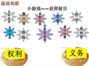 依法履行义务义务ppt课件.pptx