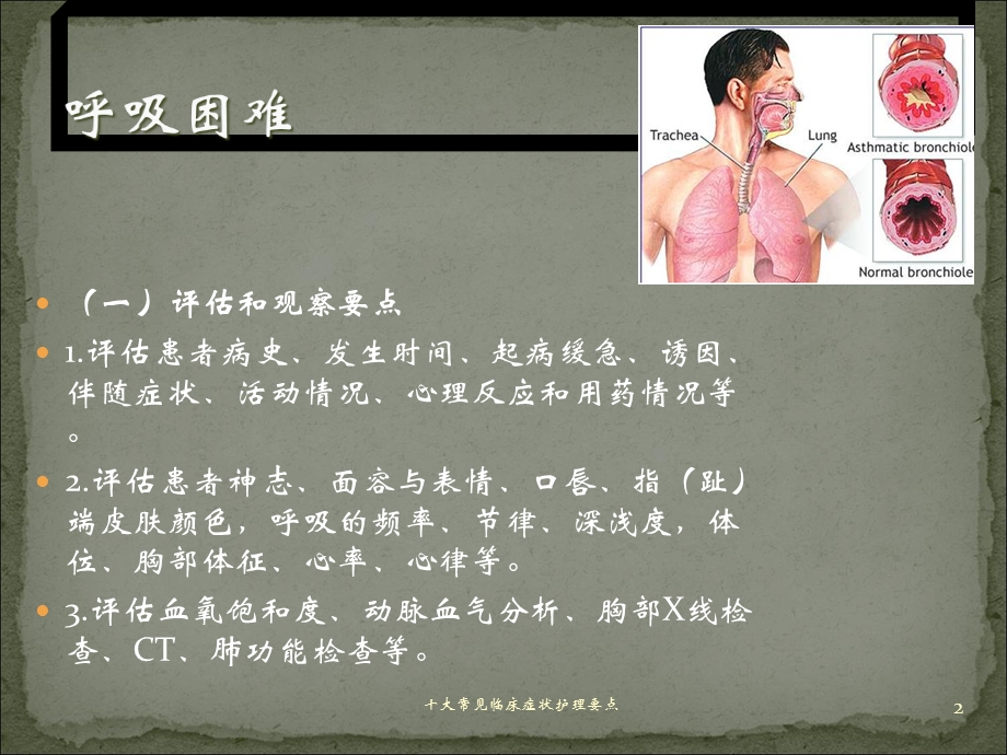 十大常见临床症状护理要点培训课件.ppt_第2页