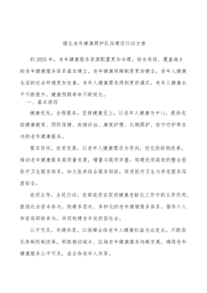 强化老健康照护队伍建设行动方案.docx