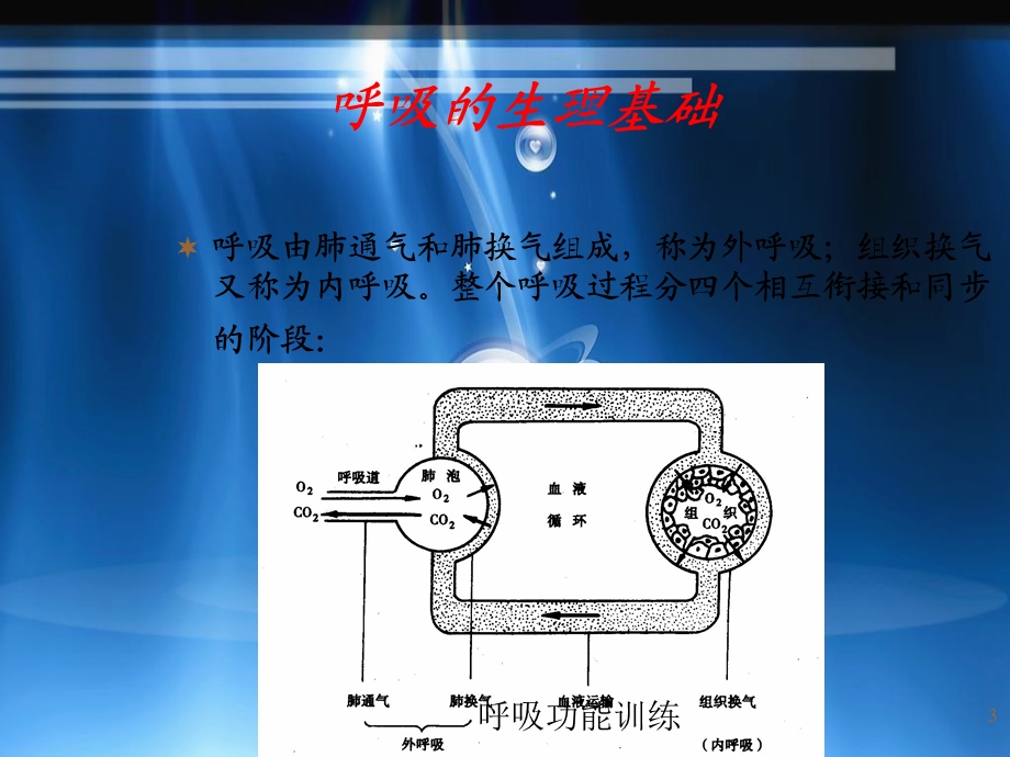 呼吸功能训练培训课件.ppt_第3页