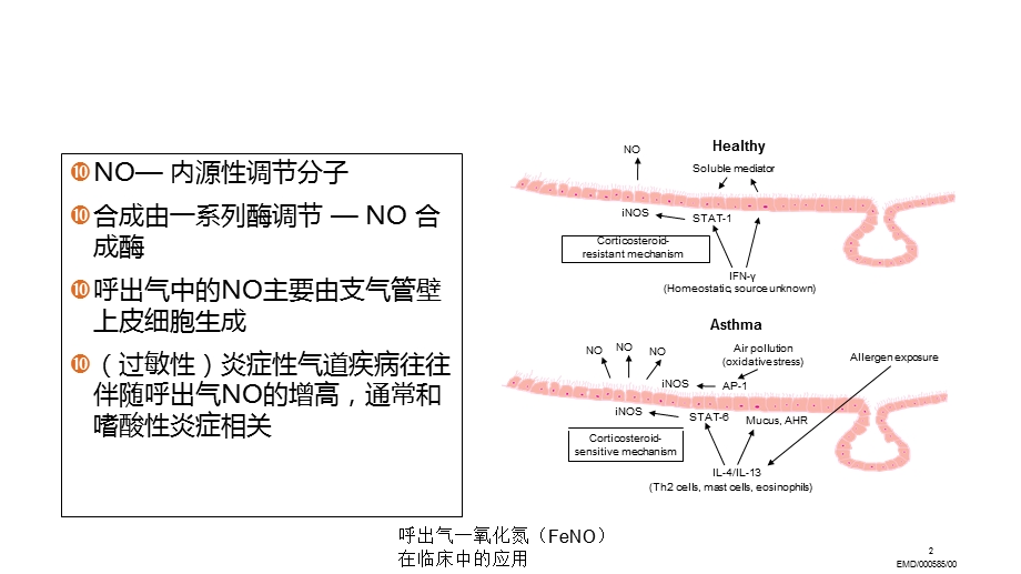 呼出气一氧化氮(FeNO)在临床中的应用培训课件.ppt_第2页