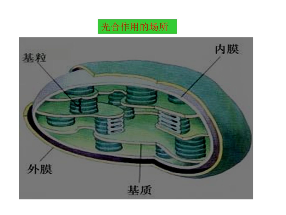 光合作用和呼吸作用二轮复习复习ppt课件.ppt_第3页