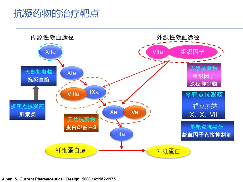 从抗凝机制的角度理解和选用抗凝药物ppt精选课件.pptx_第2页