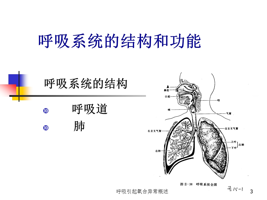 呼吸引起氧合异常概述课件.ppt_第3页