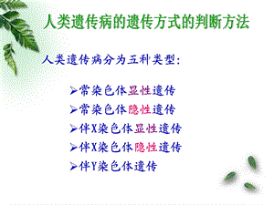 伴性遗传(第二课时习题课)概述ppt课件.ppt