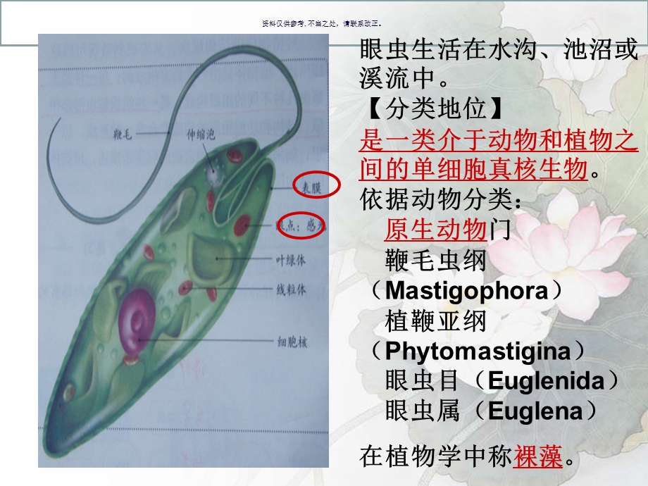 单细胞生物医学知识课件.ppt_第3页