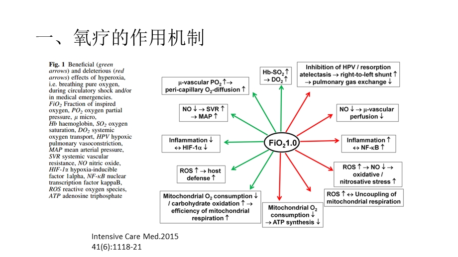 保守性氧疗ppt课件.pptx_第3页