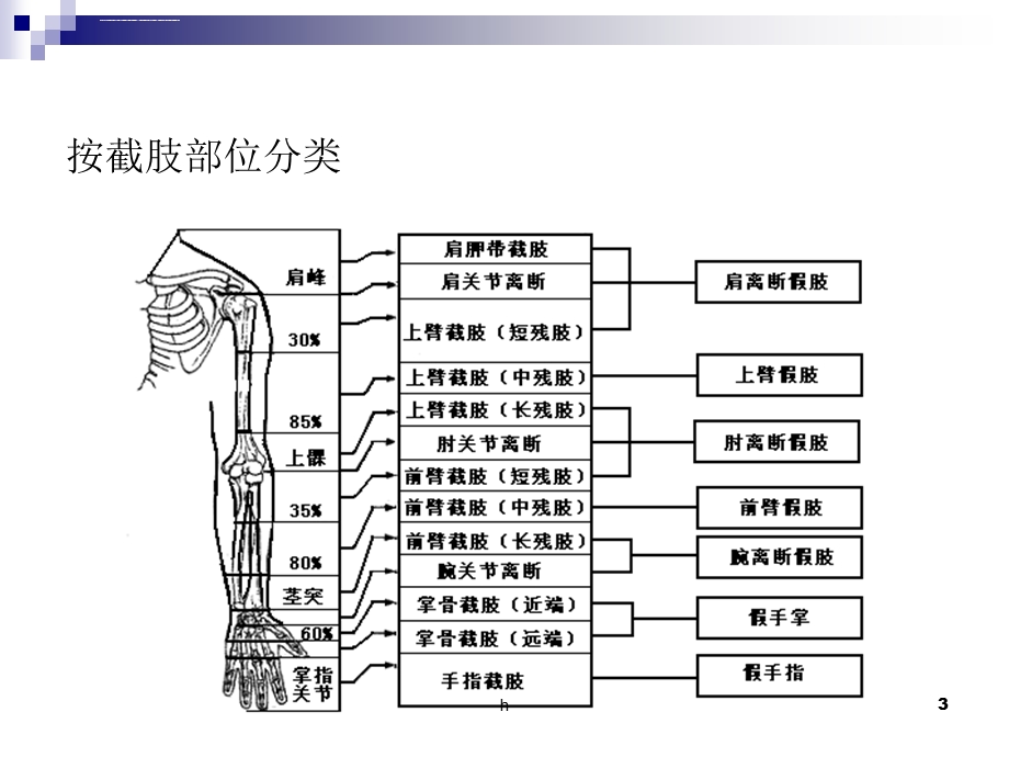 假肢技术第三节上肢假肢ppt课件.ppt_第3页