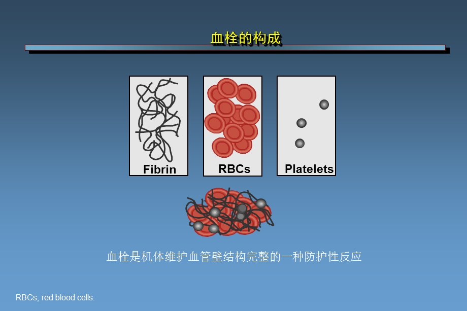 从普通肝素到磺达肝癸钠肝素类抗凝药物研发历程ppt课件.ppt_第2页