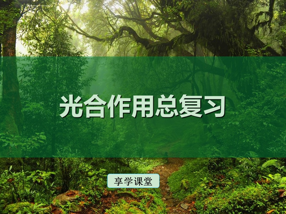 光合作用总结ppt课件.ppt_第1页