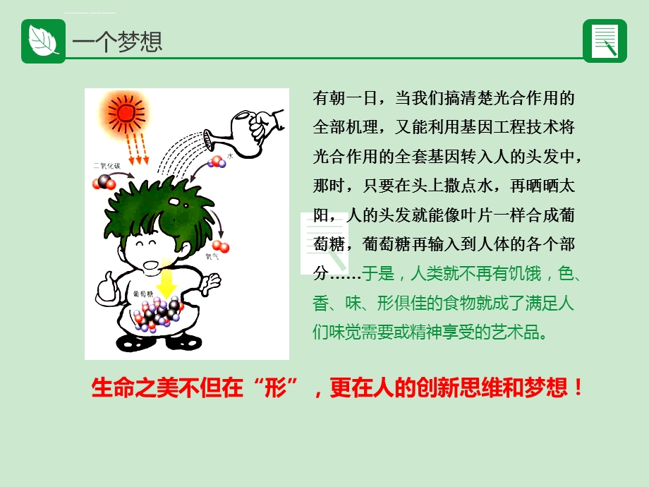 光合作用总结ppt课件.ppt_第3页