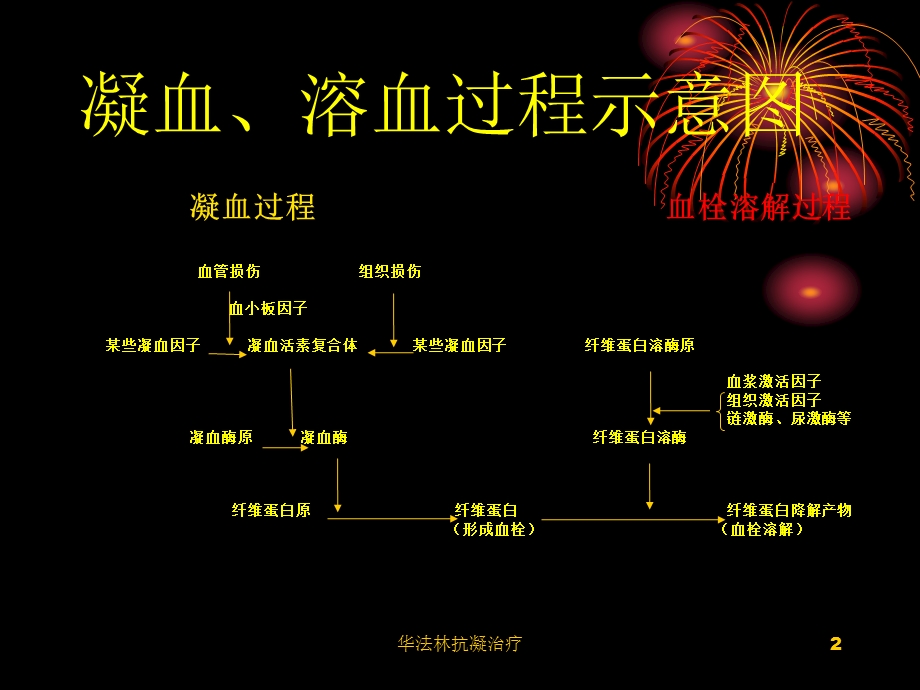 华法林抗凝治疗培训课件.ppt_第2页