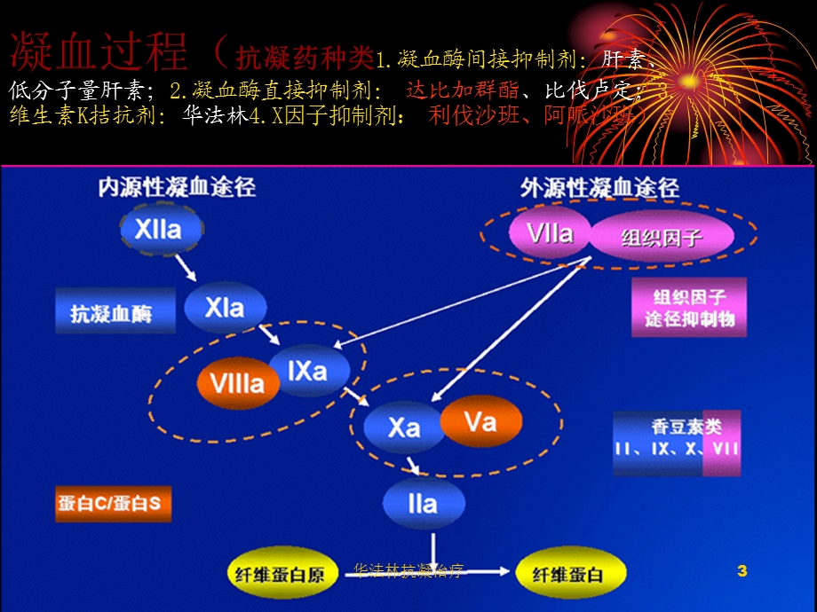 华法林抗凝治疗培训课件.ppt_第3页