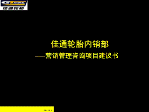 佳通轮胎内销部项目建议书ppt课件.ppt