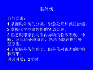 十三节 眼外伤解析课件.ppt