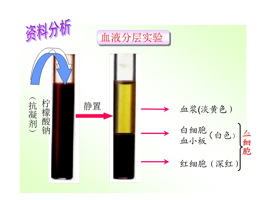 人教版初中生物七年级下册第四章第一节流动的组织—血液ppt课件.ppt_第2页