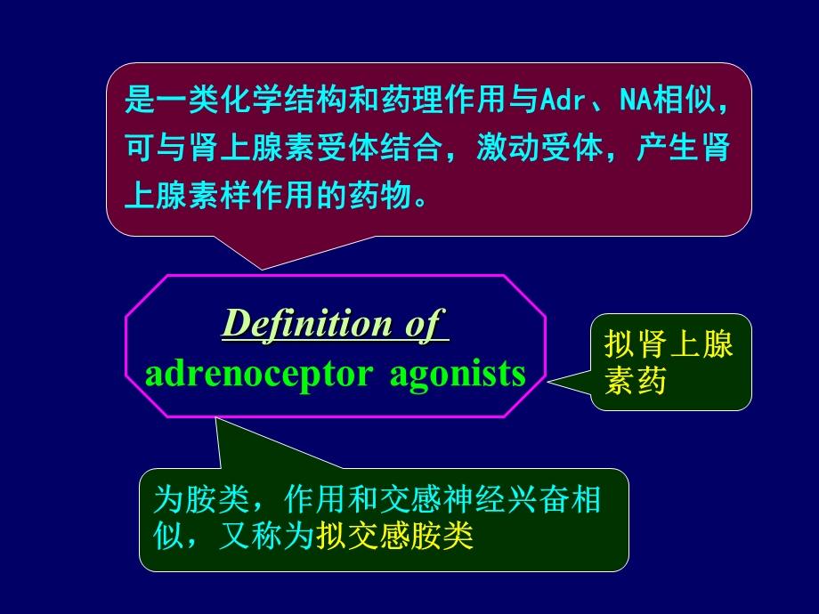 十章肾上腺素受体激动药课件.pptx_第2页