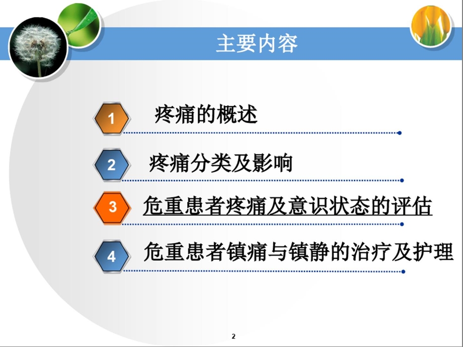 危重患者疼痛护理课件.ppt_第2页