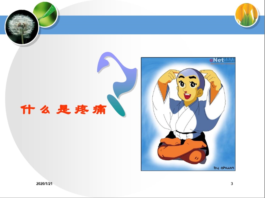 危重患者疼痛护理课件.ppt_第3页