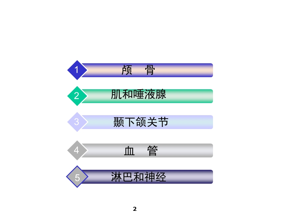 口腔解剖学：颅骨课件.ppt_第2页