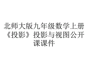 北师大版九年级数学上册《投影》投影与视图公开课课件.pptx