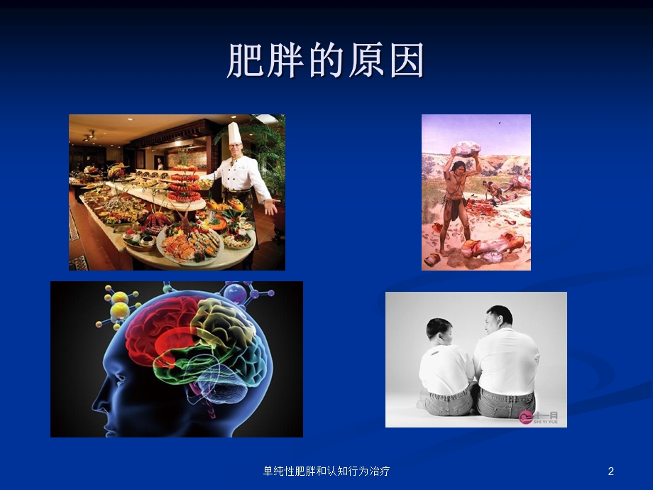 单纯性肥胖和认知行为治疗培训课件.ppt_第2页