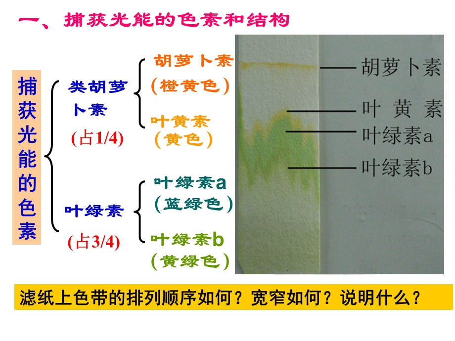 光合作用的探究历程ppt课件.ppt_第3页