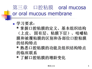 口腔组织病理学课件——第二章口腔黏膜.ppt