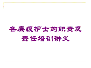 各层级护士的职责及责任培训讲义培训课件.ppt