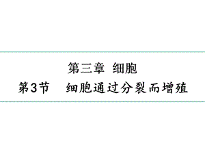 北师大版初中生物七上第二单元33《细胞通过分裂而增殖》课件(26张)(共26张).pptx