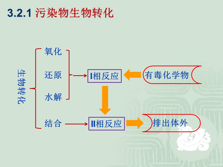 吉大环境毒理学第三章污染物在体内的转化50张课件.ppt_第3页