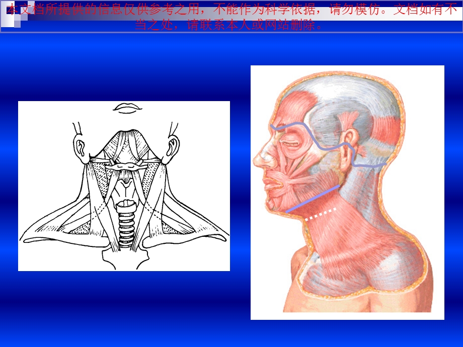 口腔面颈部系统解剖上下颌骨培训课件.ppt_第2页