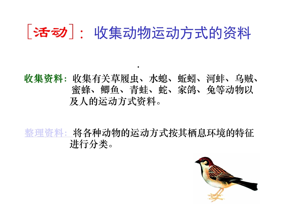 北师大版生物八上151《动物运动的方式》课件(共30张).ppt_第3页