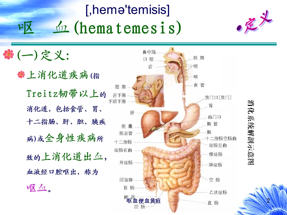 呕血便血黄疸培训课件.ppt_第2页