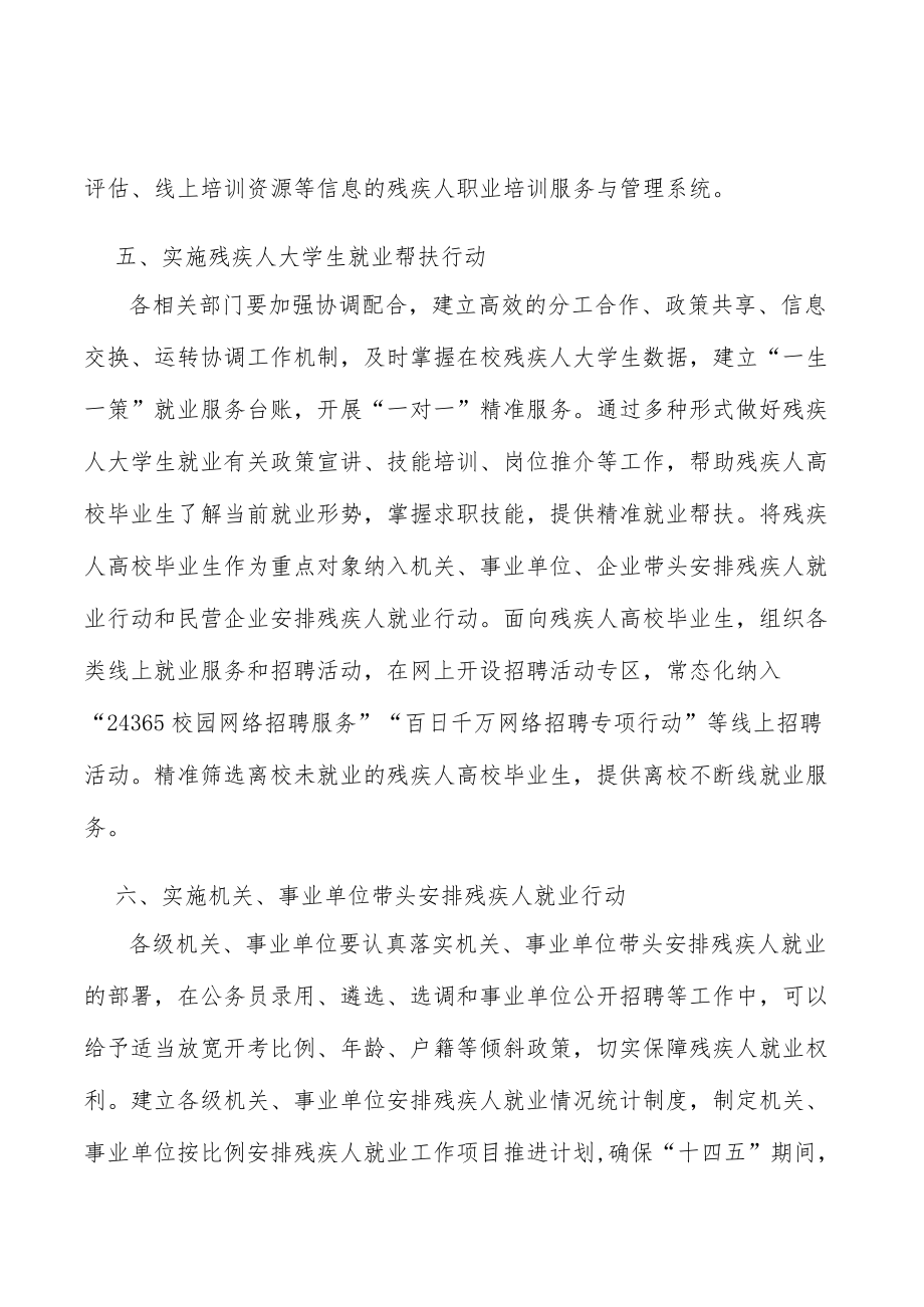 强化残疾人就业信息支撑实施方案.docx_第3页