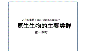 北师大版八年级生物下册教学课件：222原生生物主要类群.pptx