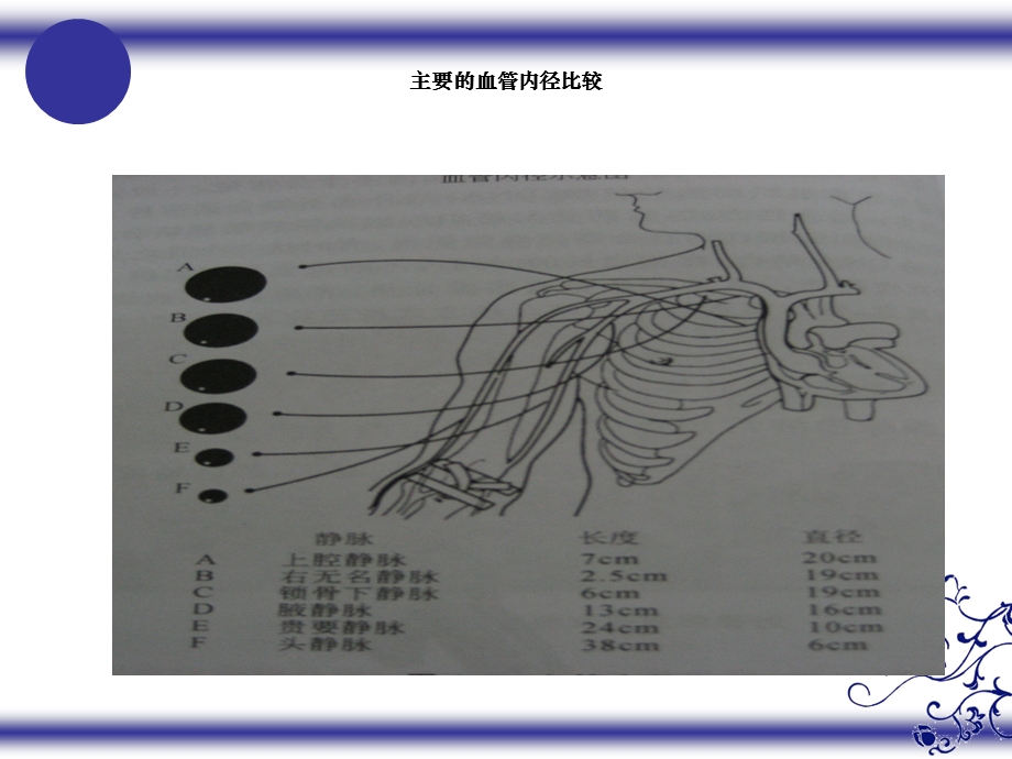 危重病人血管保护课件.ppt_第3页