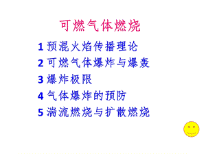 可燃气体燃烧课件.ppt