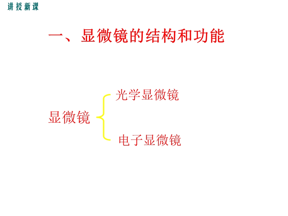 北师大版初一生物上册《光学显微镜的使用方法》课件.ppt_第3页